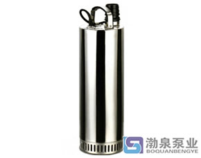 不銹鋼環(huán)保凈化泵、高揚(yáng)程潛水泵